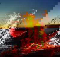 Black Dog Brewery - Sydneys Hotel