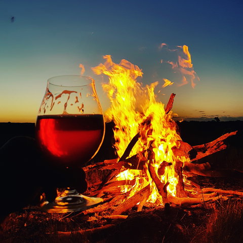 Black Dog Brewery - Sydneys Hotel 0