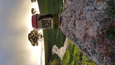 Black Dog Brewery - Sydneys Hotel 2