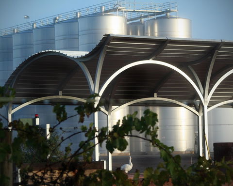 Andrew Peace Wines - Sydneys Hotel 2
