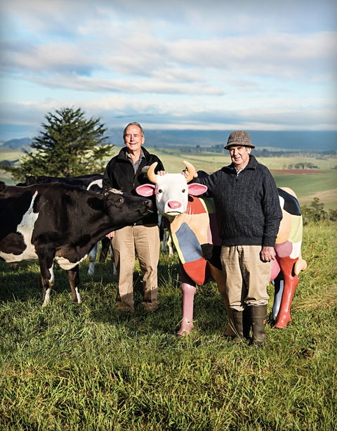 Ashgrove Farm Cheese - Sydneys Hotel 1