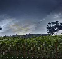 Dalrymple Vineyards - Sydneys Hotel