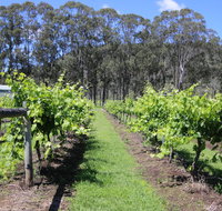 Woongooroo Estate Winery - Sydneys Hotel