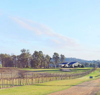 Blacklea Vineyard and Olive Grove - Sydneys Hotel