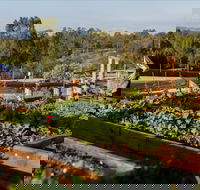 Homage - Sydneys Hotel