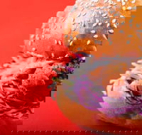 Meet Patty - Mentone - Sydneys Hotel