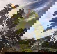 Banca Ridge Cellar Door and Vineyard - Sydneys Hotel