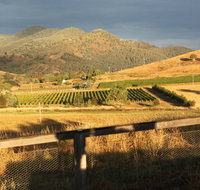 Optimiste Wines - Sydneys Hotel