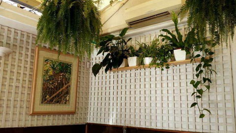 Plane Tree Cafe - Sydneys Hotel 0