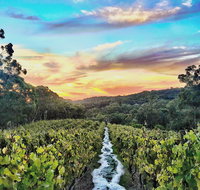 Between the Vines Cellar Door - Sydneys Hotel