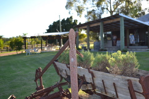 Ugly Duckling Wines - Sydneys Hotel 0