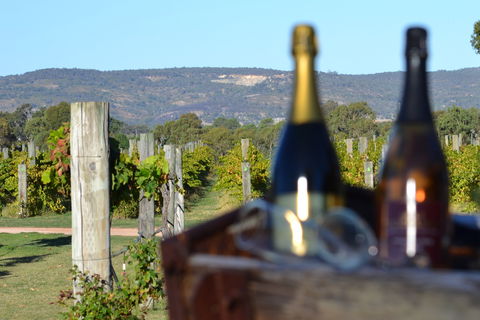 Ugly Duckling Wines - Sydneys Hotel 1