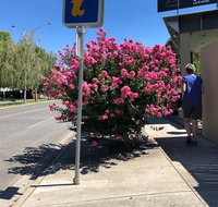 Alpine Gate Cafe - Sydneys Hotel