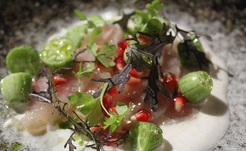 Allegra Dining - Sydneys Hotel 1