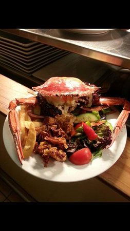 Safari Club Bar & Grill - Sydneys Hotel 0