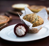 Julaymba Restaurant  Gallery - Sydneys Hotel