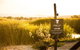 Pipeclay Pumphouse - thumb 0