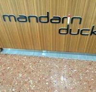 Mandarin Duck - Sydneys Hotel