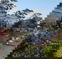 Castelli Vineyards - Sydneys Hotel