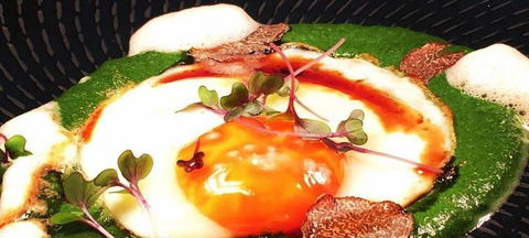 Aquavue Cafe Watersports - Sydneys Hotel 2