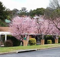 White Lanterns Motel - Sydneys Hotel