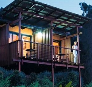 O'Reilly's Rainforest Guesthouse - Sydneys Hotel 1