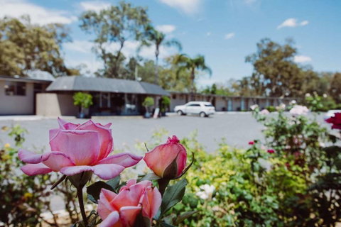 Artesian Spa Motor Inn - Sydneys Hotel 2