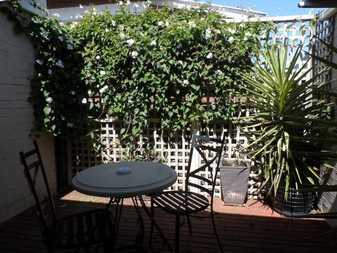 Admiralty Inn - Sydneys Hotel 1