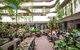 Novotel Darwin Atrium - thumb 12