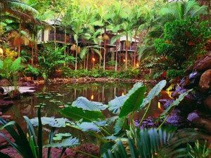 Daintree Eco Lodge & Spa - Sydneys Hotel 0