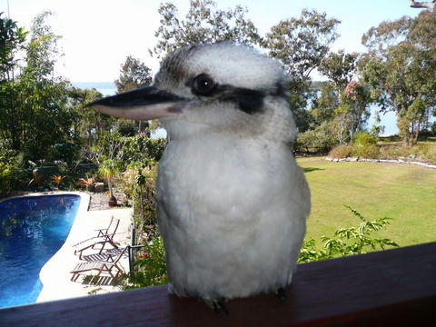 Yarrandabbi Dreaming Boutique B&B - Sydneys Hotel 2