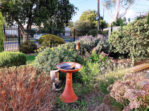 Beautiful Garden House - Sydneys Hotel 21