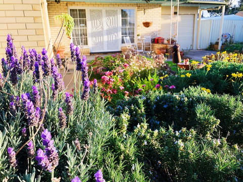Beautiful Garden House - Sydneys Hotel 9