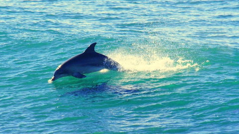 Mollymook Beach Waterfront - Sydneys Hotel 22