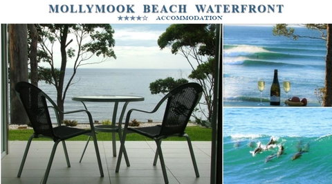Mollymook Beach Waterfront - Sydneys Hotel 1