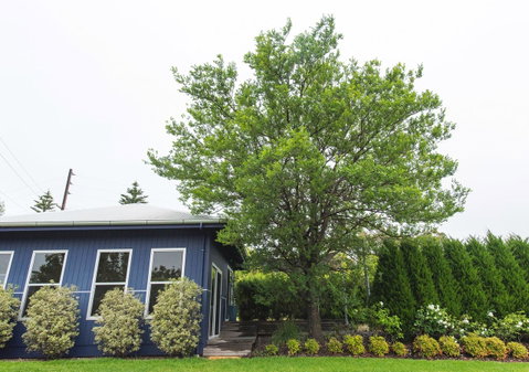 S T U D I O 22 Peaceful Retreat With Garden Views - Sydneys Hotel 11