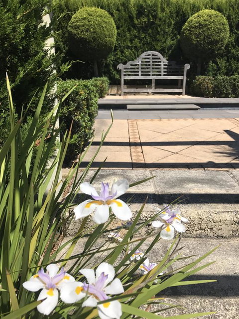 S T U D I O 22 Peaceful Retreat With Garden Views - Sydneys Hotel 13