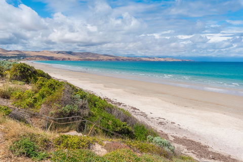 Sun & Surf Aldinga Beach Apartment - Sydneys Hotel 1