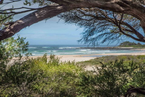 BIG4 Tasman Holiday Parks - Racecourse Beach - Sydneys Hotel 7