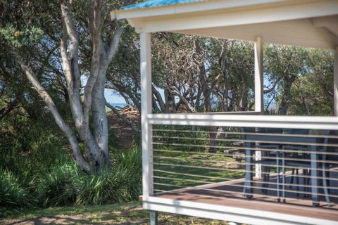 BIG4 Tasman Holiday Parks - Racecourse Beach - Sydneys Hotel 8