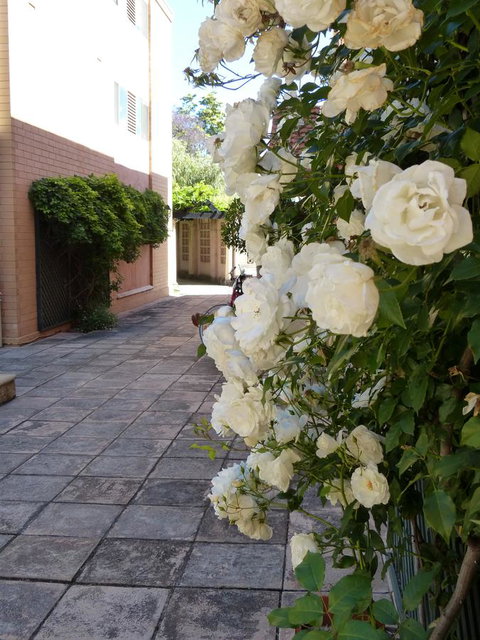Monaco Court Apartment Adelaide - Sydneys Hotel 19