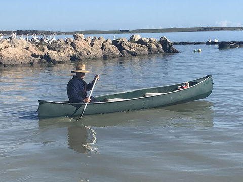 Hydeaway Bay - Own Private Bay + Kayaks - Sydneys Hotel 32