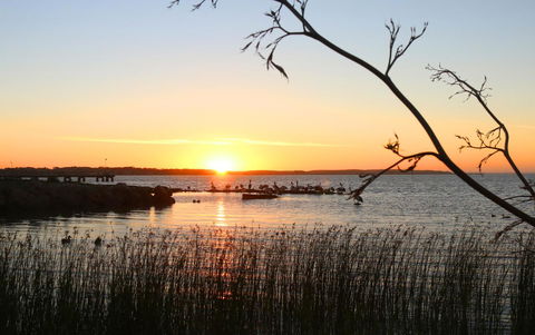 Hydeaway Bay - Own Private Bay + Kayaks - Sydneys Hotel 36