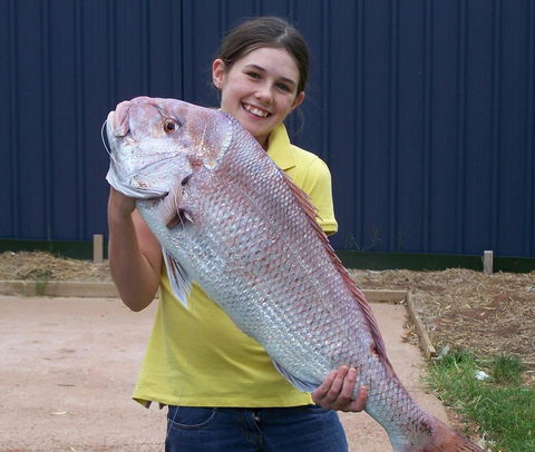 Discovery Parks - Whyalla Foreshore - Sydneys Hotel 17