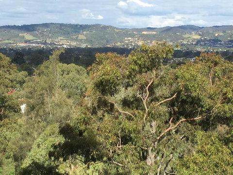 Tasha\'s Apartments On Warwick - Sydneys Hotel 35