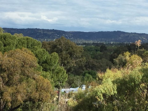 Tasha\'s Apartments On Warwick - Sydneys Hotel 33