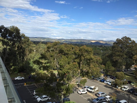 Tasha\'s Apartments On Warwick - Sydneys Hotel 36