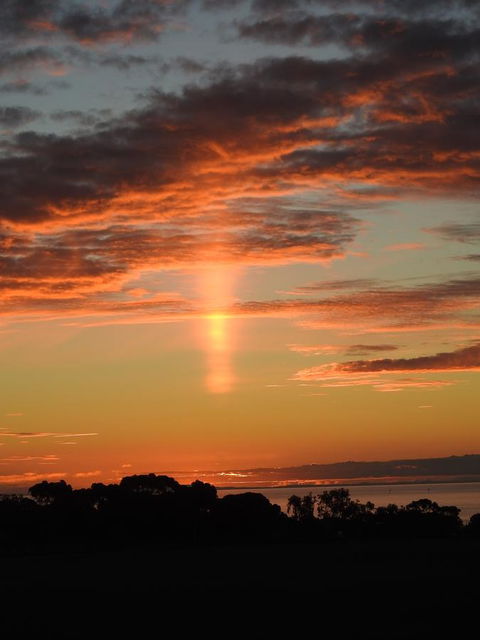 Rezare House Bed & Breakfast - Sydneys Hotel 43