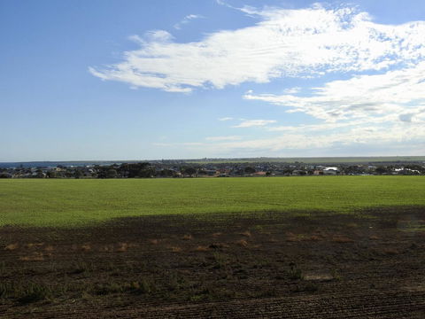 Rezare House Bed & Breakfast - Sydneys Hotel 40