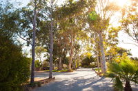 Book Tumby Bay Accommodation Vacations Sydneys Hotel Sydneys Hotel
